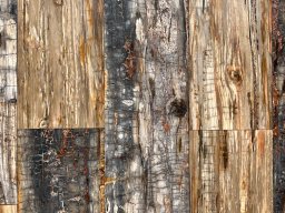 Petrified Wood Plank Flooring Ancient Wonder Meets Aerospace Innovation